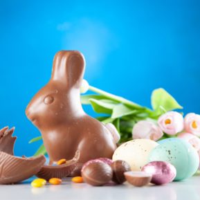 chocolate bunny and eggs