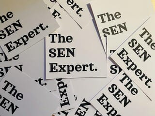 The SEN Expert – Services