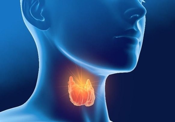 Re-thinking your Thyroid health: Hypothyroidism