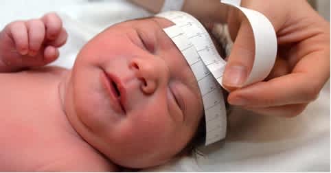 a newborn having their head measured