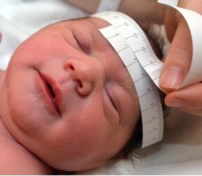 Newborn having his head measured